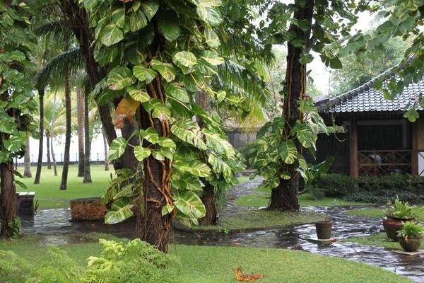 Affordable Resorts in Lonavala for Families and Friends